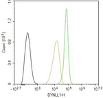 DYNLL1 Antibody in Flow Cytometry (Flow)