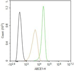 ABCE1 Antibody in Flow Cytometry (Flow)