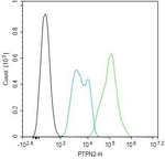 PTPN2 Antibody in Flow Cytometry (Flow)