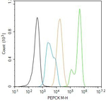 PCK2 Antibody in Flow Cytometry (Flow)