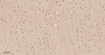 PCK2 Antibody in Immunohistochemistry (Paraffin) (IHC (P))