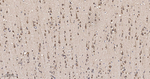 EEF1G Antibody in Immunohistochemistry (Paraffin) (IHC (P))