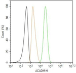 ACADM Antibody in Flow Cytometry (Flow)