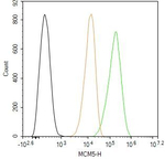 MCM5 Antibody in Flow Cytometry (Flow)