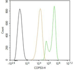 COPS3 Antibody in Flow Cytometry (Flow)