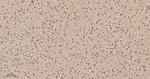 COPS3 Antibody in Immunohistochemistry (Paraffin) (IHC (P))