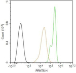 PRMT5 Antibody in Flow Cytometry (Flow)