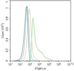 PTBP1 Antibody in Flow Cytometry (Flow)