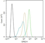 GRK2 Antibody in Flow Cytometry (Flow)