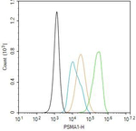 PSMA1 Antibody in Flow Cytometry (Flow)