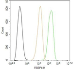 RbAp48 Antibody in Flow Cytometry (Flow)