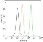 JMJD2B Antibody in Flow Cytometry (Flow)