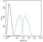GSTP1 Antibody in Flow Cytometry (Flow)