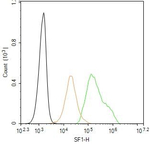 SF1 Antibody in Flow Cytometry (Flow)