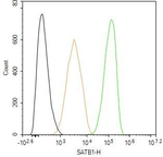 SATB1 Antibody in Flow Cytometry (Flow)