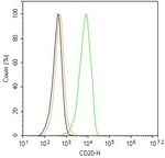 CD20 Antibody in Flow Cytometry (Flow)