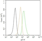 p21 Antibody in Flow Cytometry (Flow)