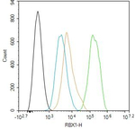 ROC1 Antibody in Flow Cytometry (Flow)