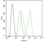 CHD3 Antibody in Flow Cytometry (Flow)