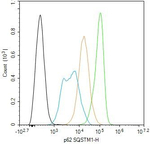 SQSTM1 Antibody in Flow Cytometry (Flow)