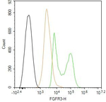 FGFR3 Antibody in Flow Cytometry (Flow)