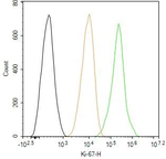 Ki-67 Antibody in Flow Cytometry (Flow)
