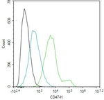 CD47 Antibody in Flow Cytometry (Flow)