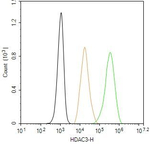 HDAC3 Monoclonal Antibody (A11D3)