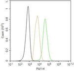 PAI1 Antibody in Flow Cytometry (Flow)