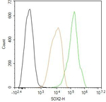 SOX2 Antibody in Flow Cytometry (Flow)