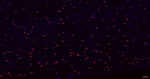 SOX2 Antibody in Immunohistochemistry (Paraffin) (IHC (P))