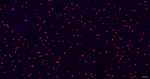 SOX2 Antibody in Immunohistochemistry (Paraffin) (IHC (P))