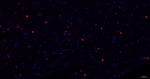 SOX2 Antibody in Immunohistochemistry (Paraffin) (IHC (P))