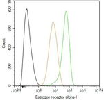 Estrogen Receptor alpha Antibody in Flow Cytometry (Flow)