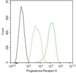 Progesterone Receptor Antibody in Flow Cytometry (Flow)