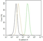 E-cadherin Antibody in Flow Cytometry (Flow)