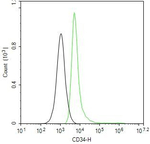 CD34 Antibody in Flow Cytometry (Flow)