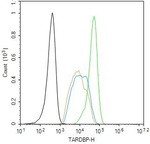 TDP-43 Antibody in Flow Cytometry (Flow)