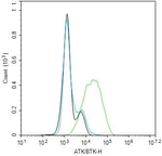 BTK Antibody in Flow Cytometry (Flow)