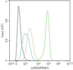 LGR5 Antibody in Flow Cytometry (Flow)