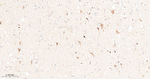 Leptin Receptor Antibody in Immunohistochemistry (Paraffin) (IHC (P))