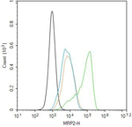 MRP2 Antibody in Flow Cytometry (Flow)