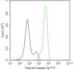 Caspase 3 p17 Antibody in Flow Cytometry (Flow)