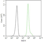 Nrf2 Antibody in Flow Cytometry (Flow)