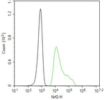 Nrf2 Antibody in Flow Cytometry (Flow)