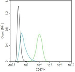 CD97 Antibody in Flow Cytometry (Flow)