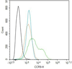 CCR9 Antibody in Flow Cytometry (Flow)