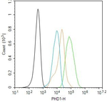 PHD1 Antibody in Flow Cytometry (Flow)