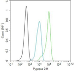 PYGO2 Antibody in Flow Cytometry (Flow)