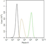 Plectin Antibody in Flow Cytometry (Flow)